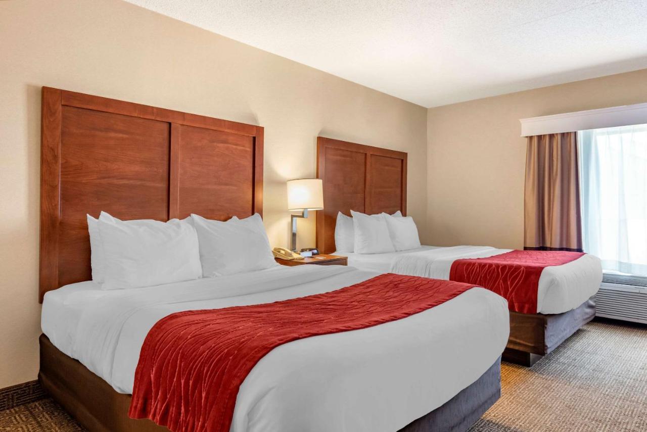 Hotel Comfort Inn&suites 3*